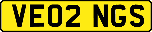 VE02NGS