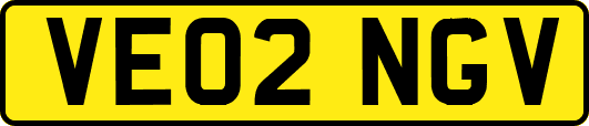 VE02NGV