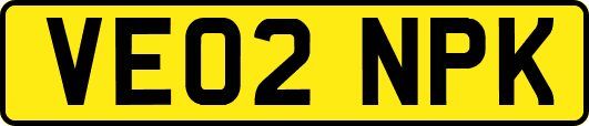 VE02NPK