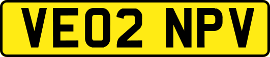 VE02NPV