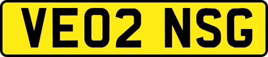 VE02NSG
