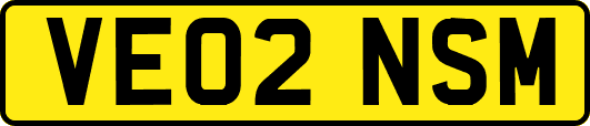 VE02NSM