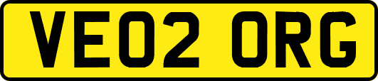 VE02ORG