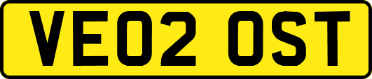 VE02OST