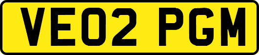 VE02PGM
