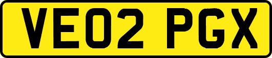VE02PGX
