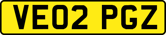 VE02PGZ