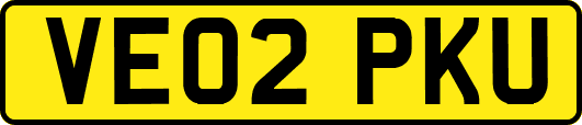 VE02PKU