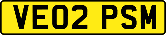VE02PSM
