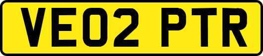 VE02PTR