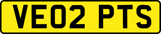 VE02PTS