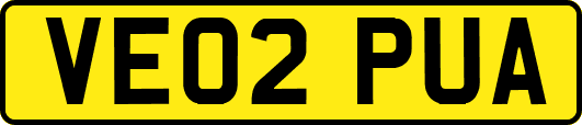 VE02PUA