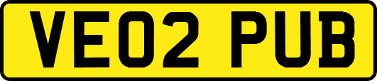 VE02PUB