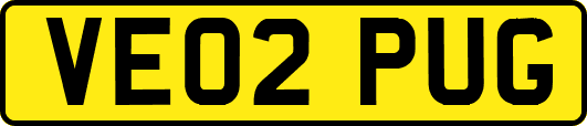 VE02PUG
