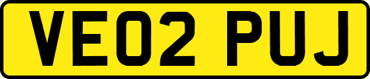 VE02PUJ