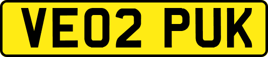 VE02PUK