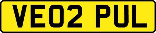 VE02PUL