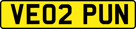 VE02PUN