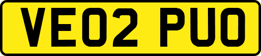 VE02PUO