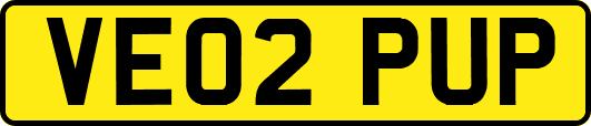 VE02PUP
