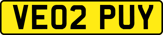VE02PUY