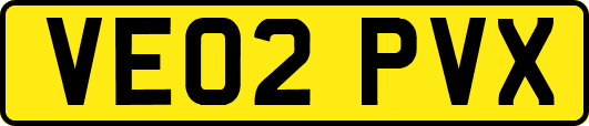 VE02PVX