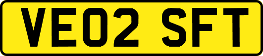 VE02SFT