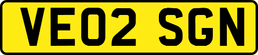 VE02SGN