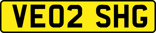 VE02SHG