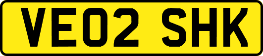 VE02SHK