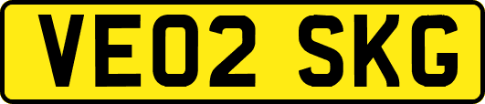 VE02SKG