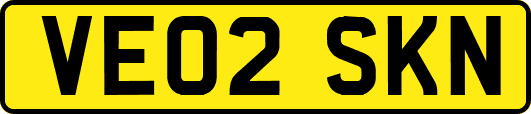 VE02SKN