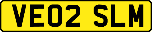 VE02SLM