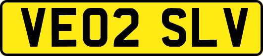 VE02SLV