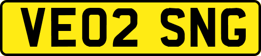 VE02SNG
