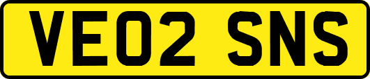VE02SNS