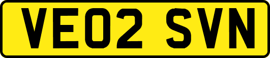 VE02SVN