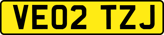 VE02TZJ