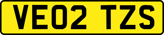 VE02TZS