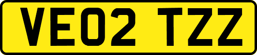 VE02TZZ