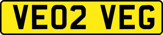 VE02VEG