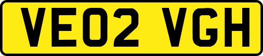 VE02VGH