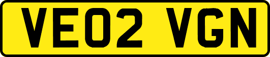 VE02VGN