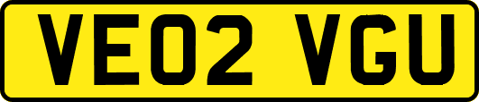 VE02VGU