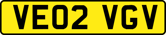VE02VGV
