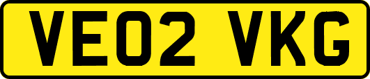 VE02VKG