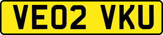 VE02VKU