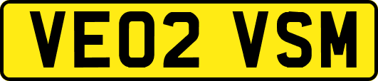 VE02VSM
