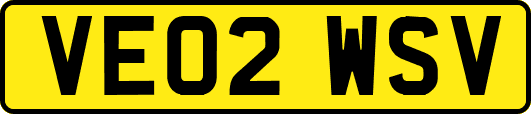 VE02WSV