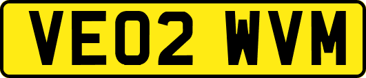 VE02WVM